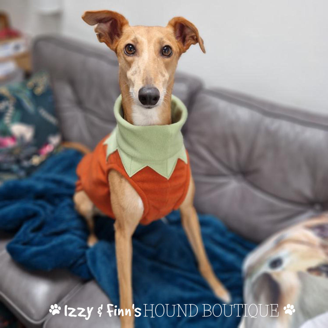 Custom Pumpkin Jammies & Tankies