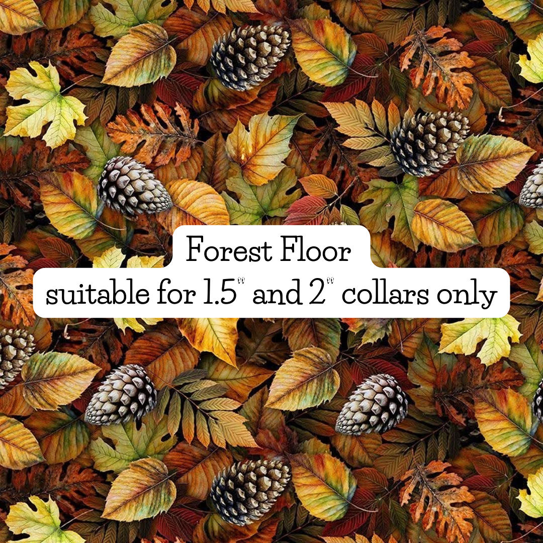 forest floor