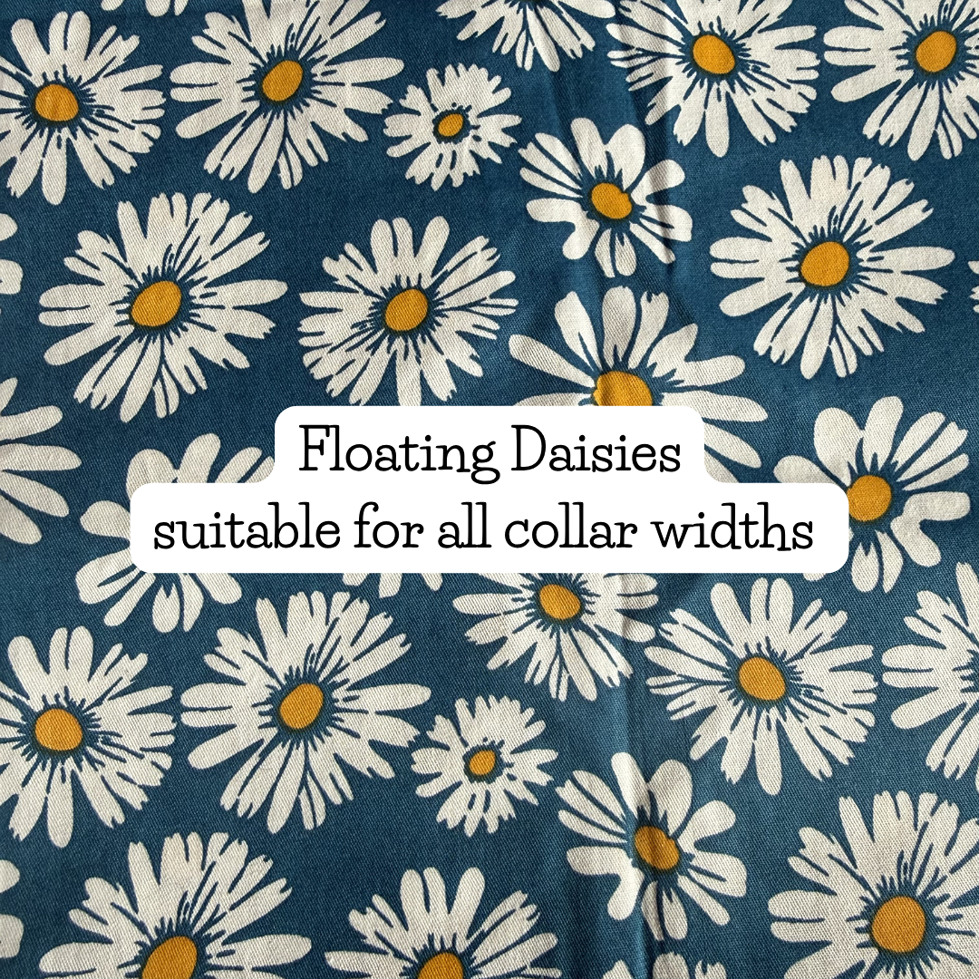 Floating Daisies