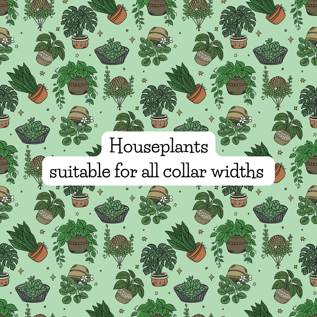 Houseplants
