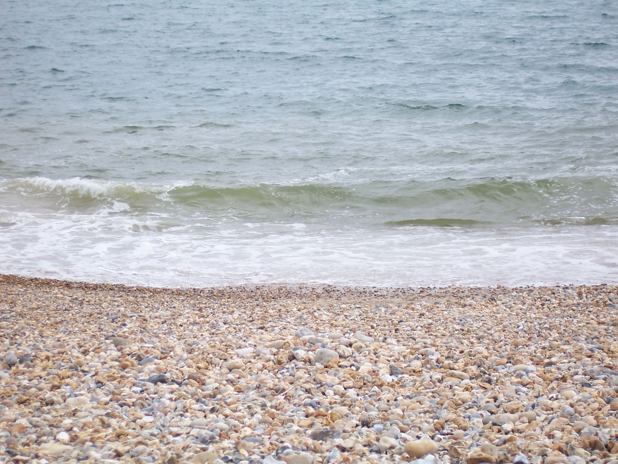 a pebbled beach