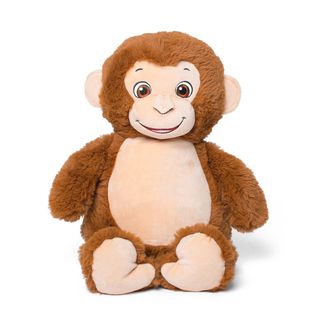 Embroidered Personalised Monkey Teddy Bear
