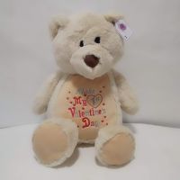 1st Valentine's Day Teddy Soft Toy