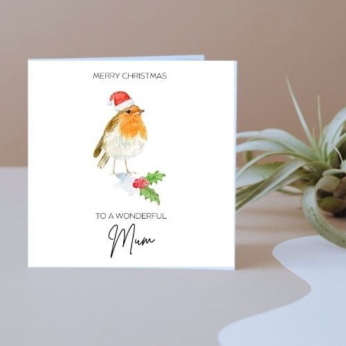 Robin wearing Santa hat - Family Christmas Cards