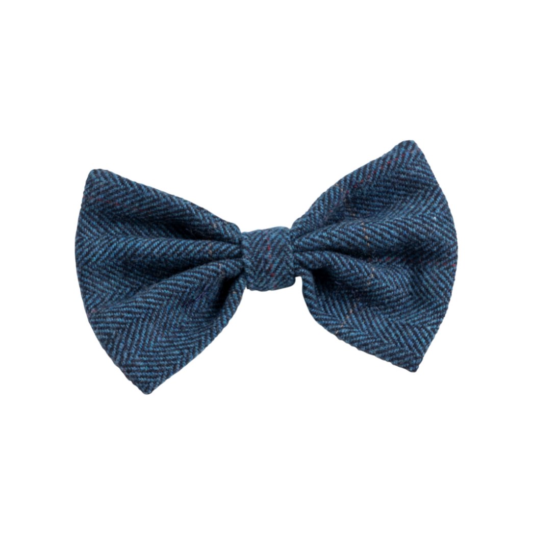 House of Paws Tweed Bow Tie - Navy Blue