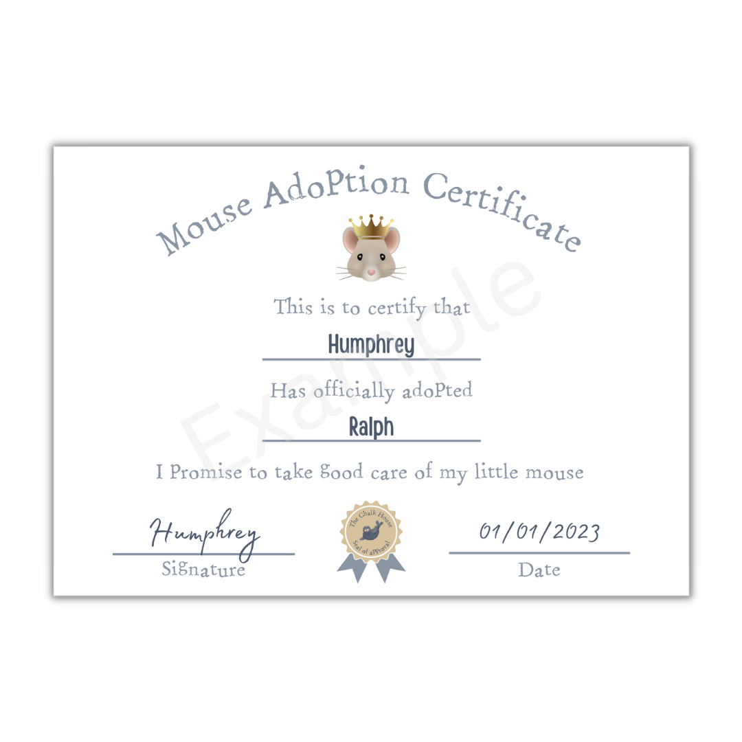 Personalised Maileg Mouse Adoption Certificate - PDF