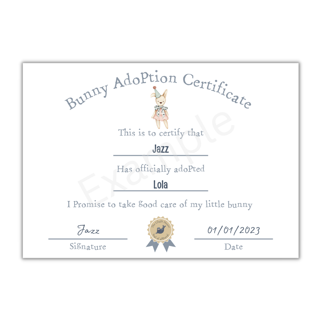 Personalised Maileg Bunny/Rabbit Adoption Certificate - PDF