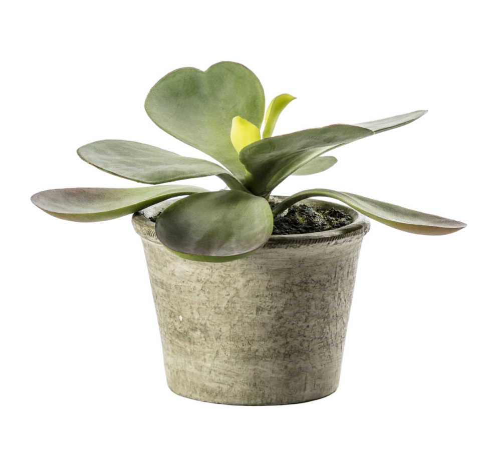 Faux Potted Kalanchoe Plant - Small