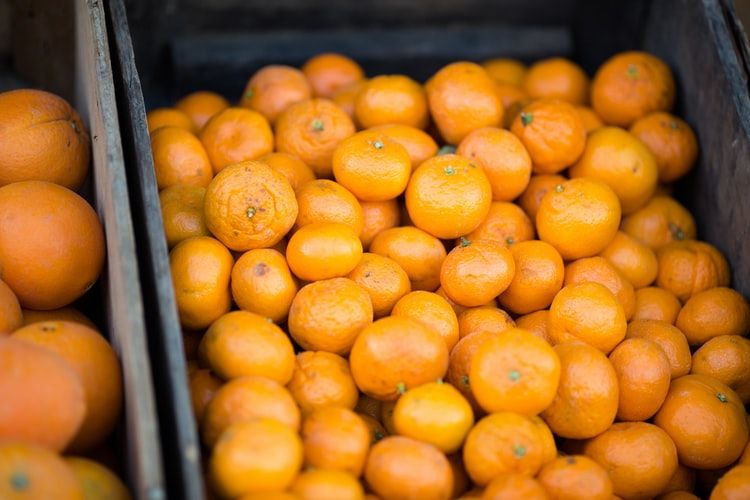Oranges on fruit stall