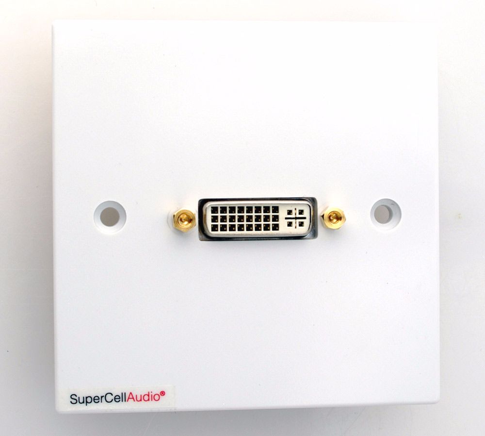 Wall Plate with DVi-I
