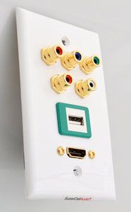 Component HDMI USB wall plate