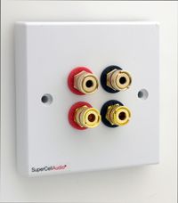 Wall plate with 2 pairs binding posts