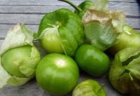 Tomatillo