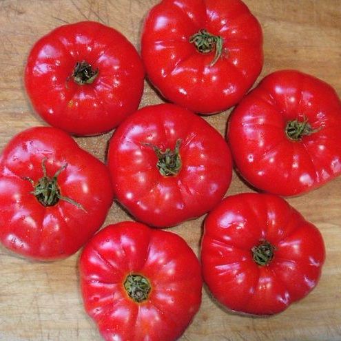 Tomato - Scoresby Dwarf