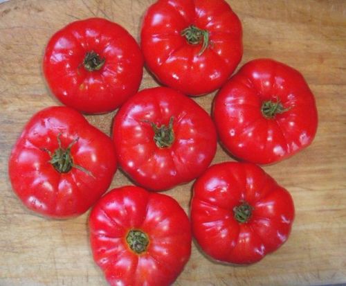 Tomato - Scoresby Dwarf