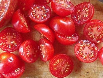 Tomato - Henry's Dwarf Bush Cherry Seedling