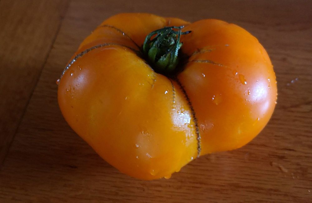 Tomato Orange Beefsteak