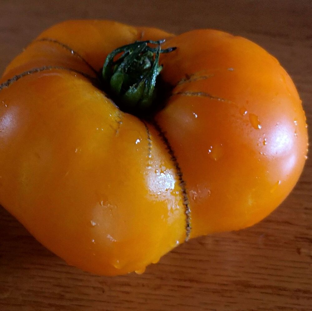 Tomato - Orange Beefsteak