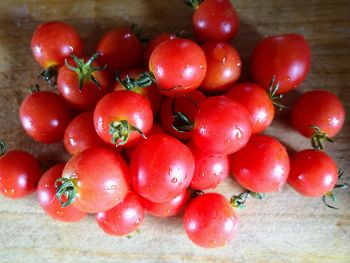 Tomato - Baxter's Bush