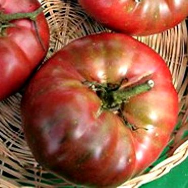Tomato - Black from Tula