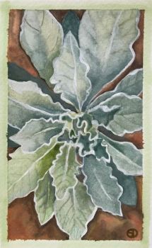 Seed Art Gift Card - Mullein Card