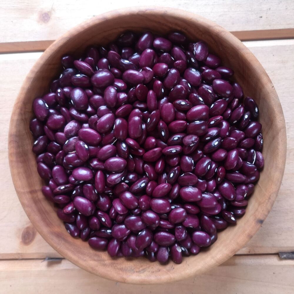 Bean - Dry - Tarahumara Purple