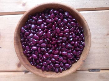 Bean - Tarahumara Purple