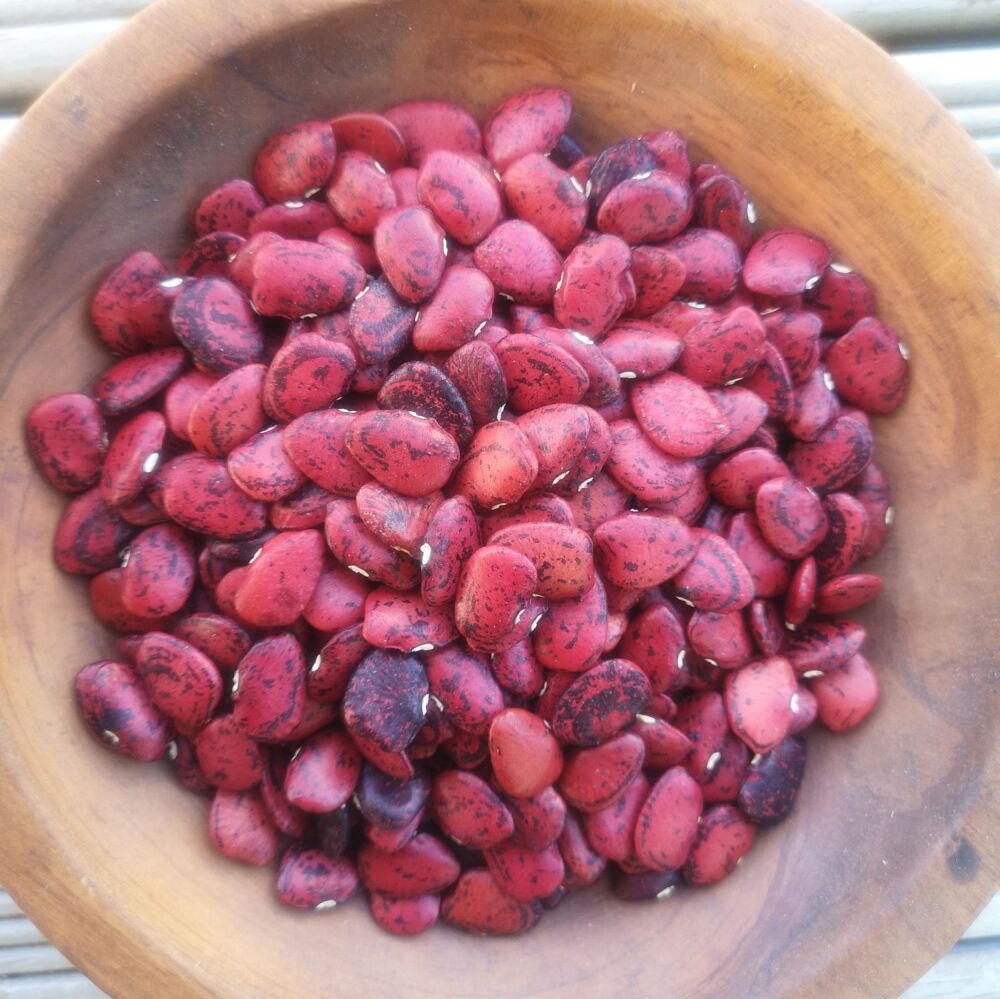 Bean - Dry - Persian Lima *NEW*