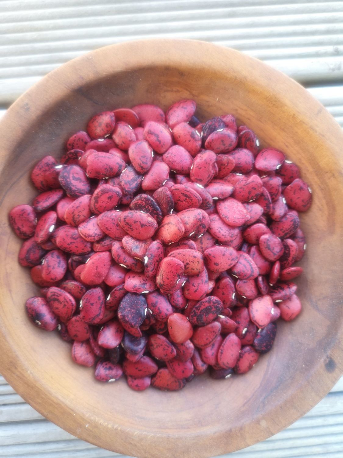 Bean Dry Persian Lima *NEW*