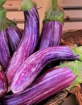 Eggplant - Tsakoniki *NEW*