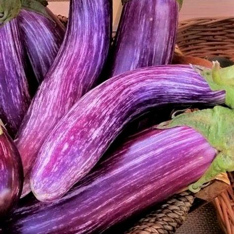 Eggplant - Tsakoniki