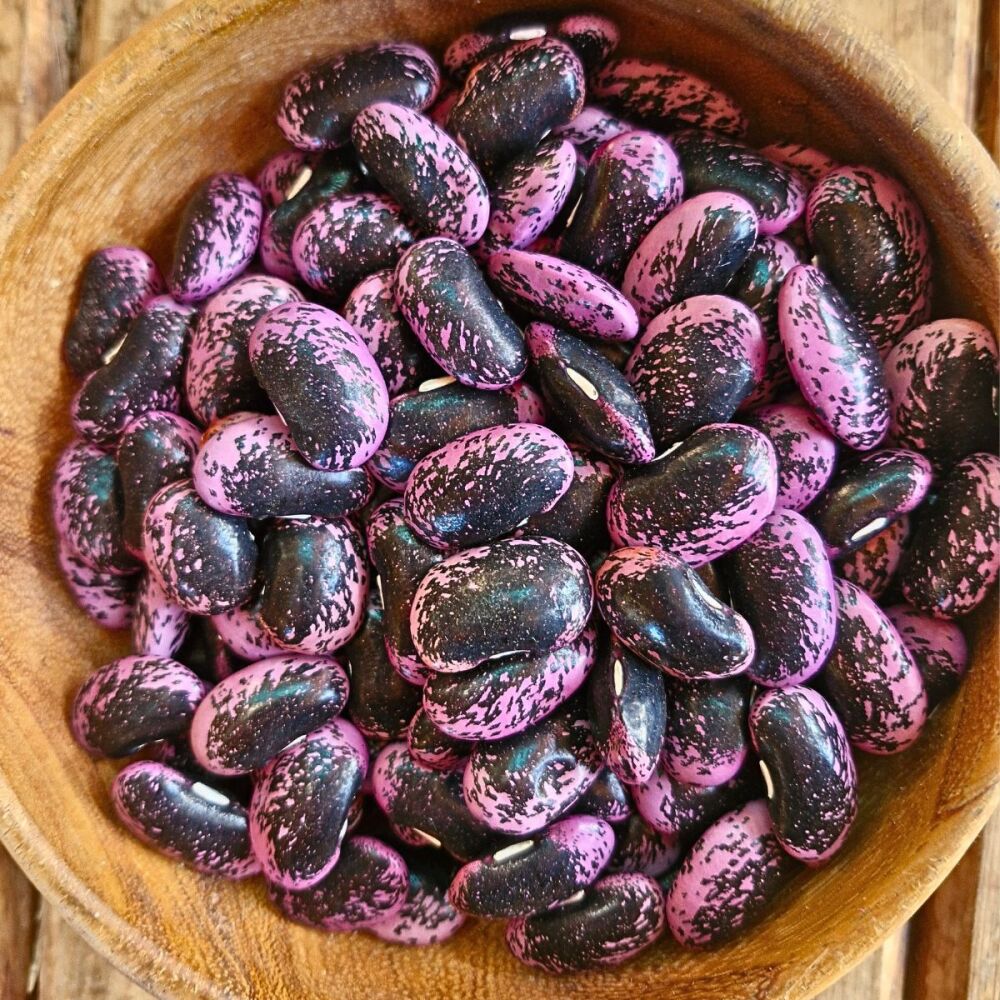 Bean - Runner - Scarlet