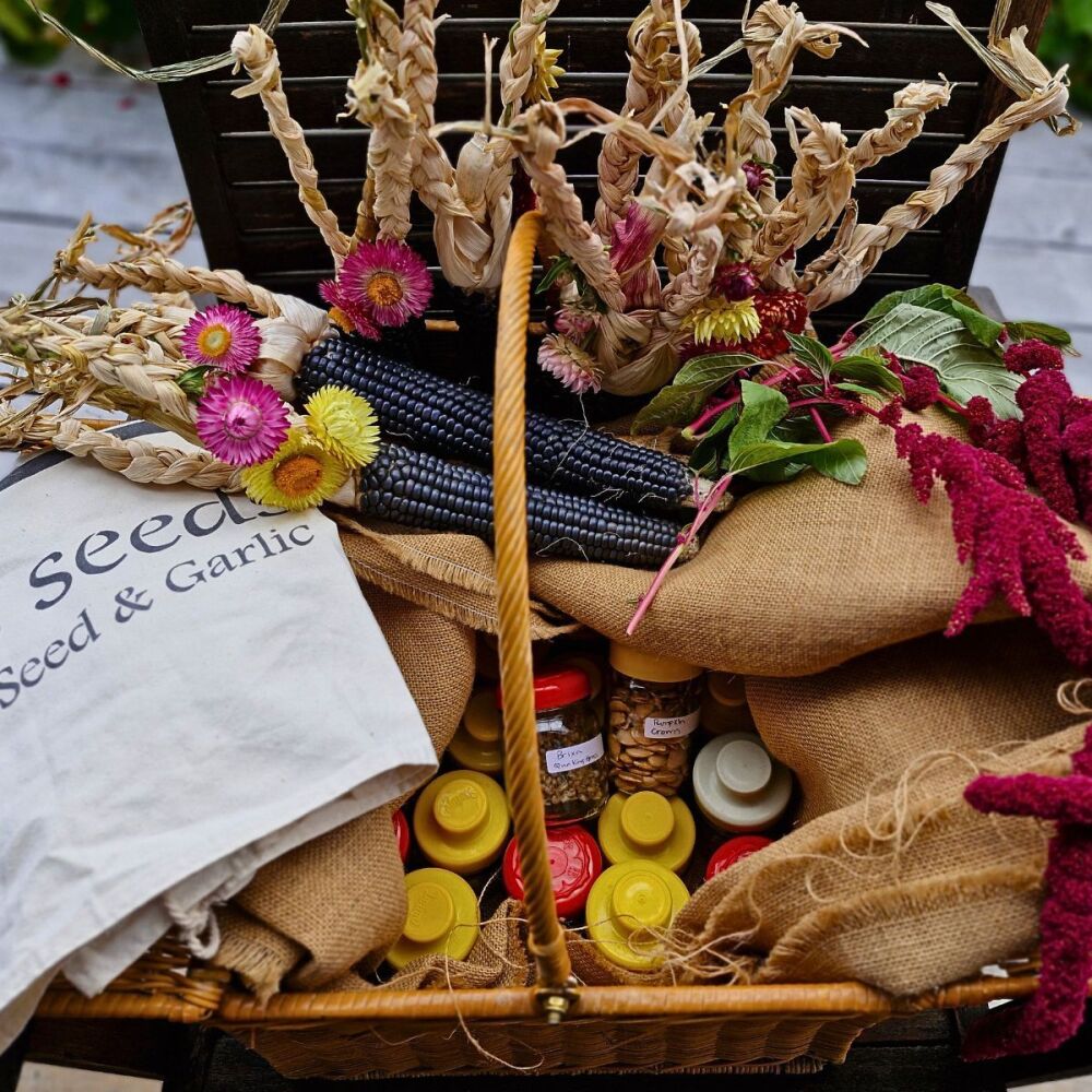Donate to Sethas Seeds NZ