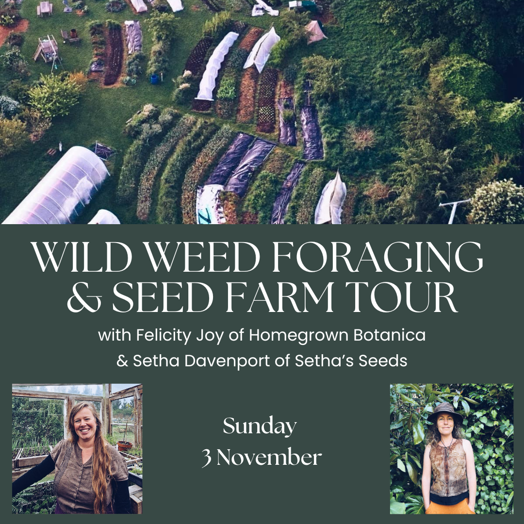 Wild Weed Foraging & Seed Farm Tour