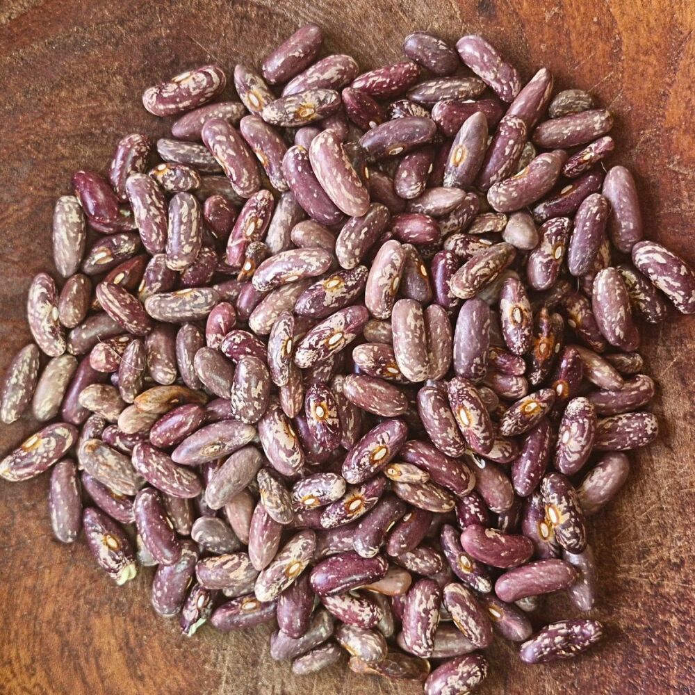 Bean - Green - Fin de Bagnols