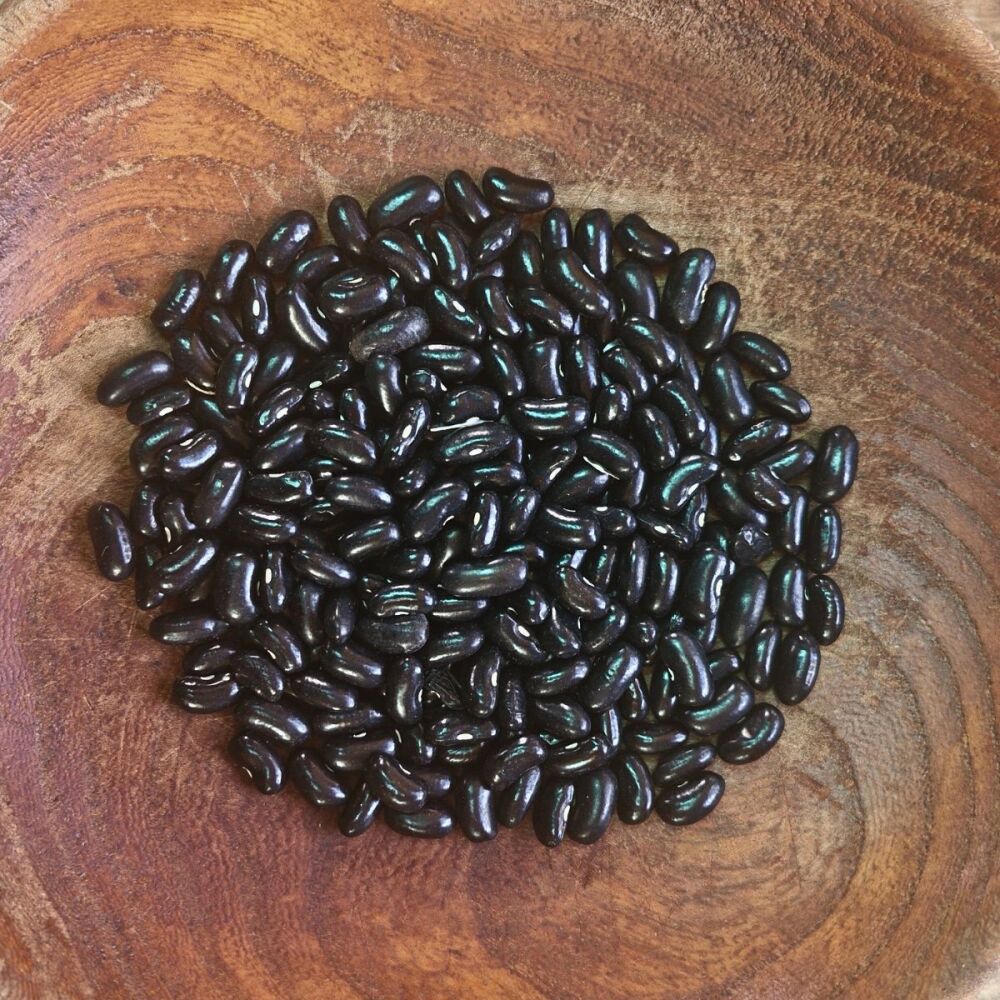 Bean - Green - Cherokee Wax Bush