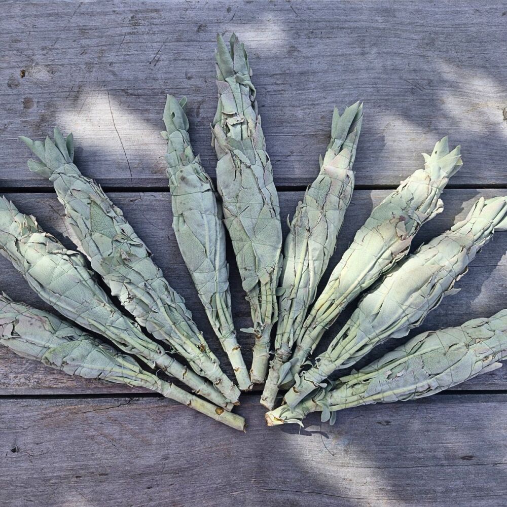 White Sage Smudge Stick - Mini