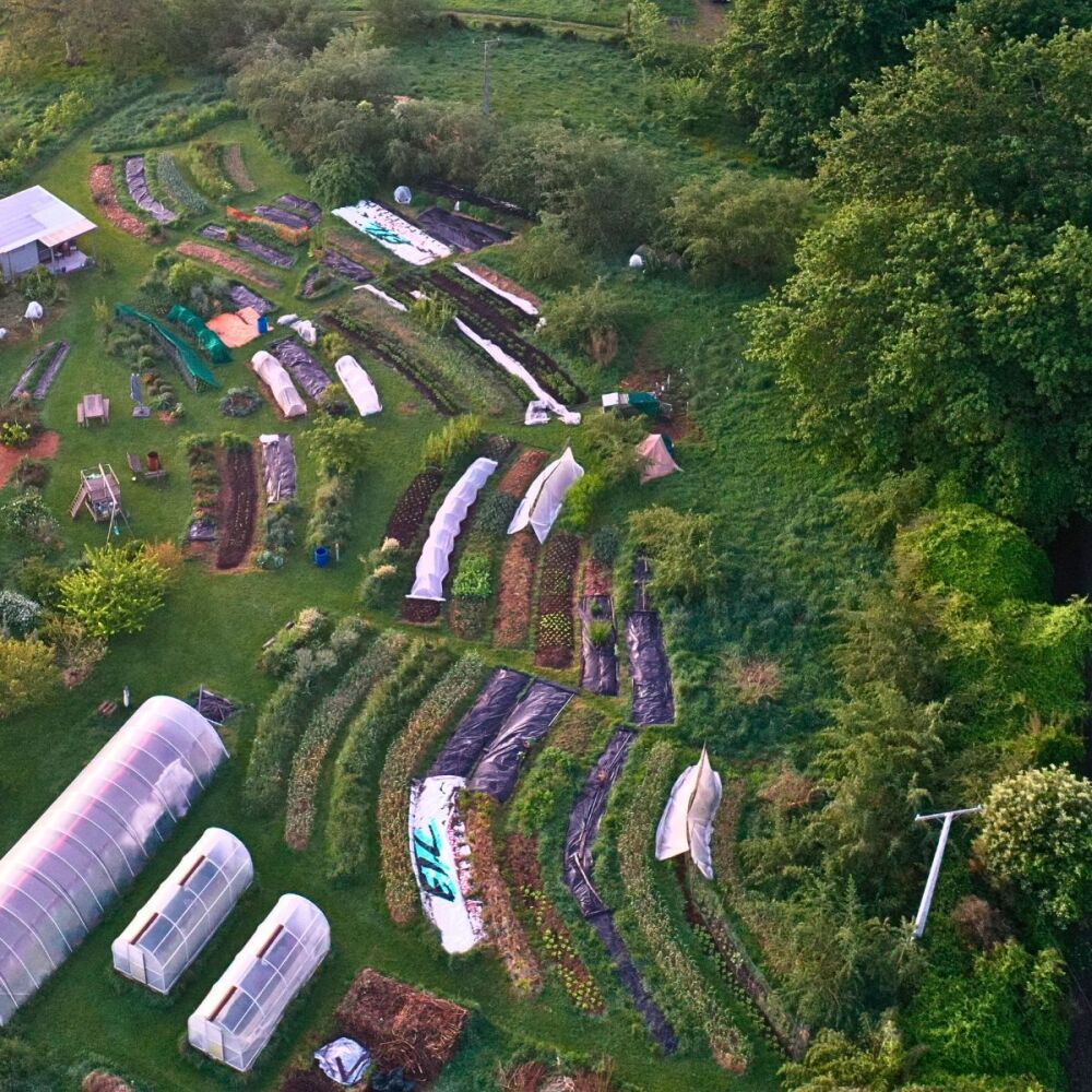Seed Farm Tour and Seed Processing Demonstration