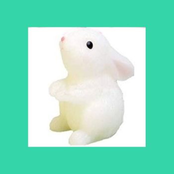 Cute bunny solid shampoo