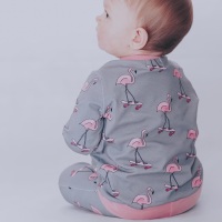 Roll with it Flamingo Top