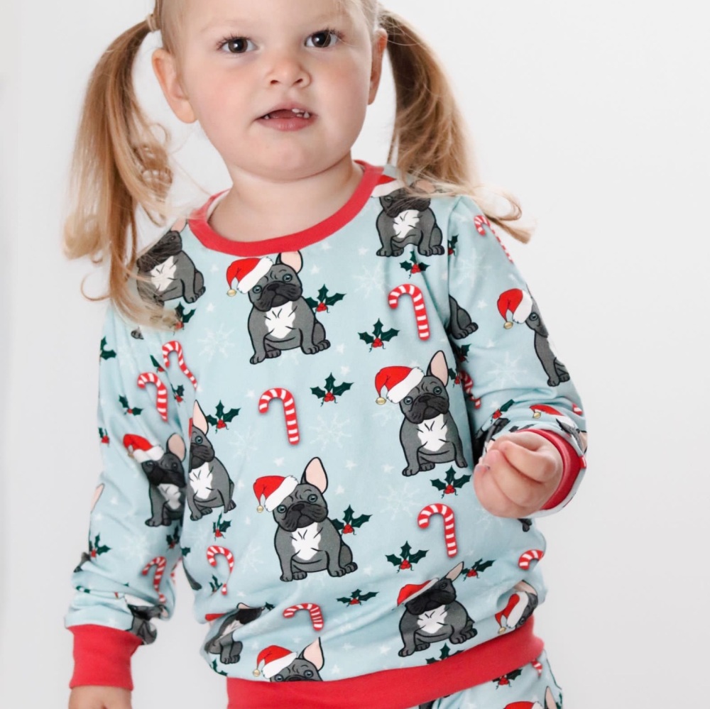Frenchie Christmas Long sleeved Top