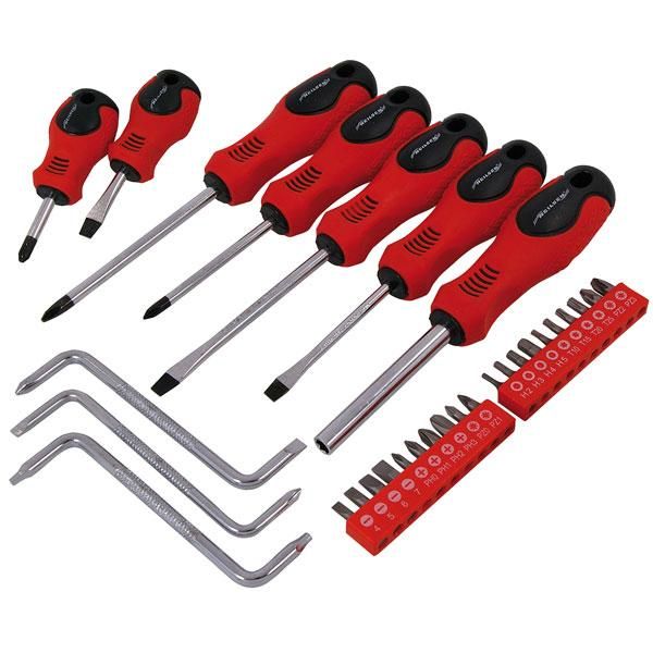 30pc SCREWDRIVER & BIT SET (2552)