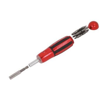 12 IN 1 RATCHET SCREWDRIVER SET (2554)