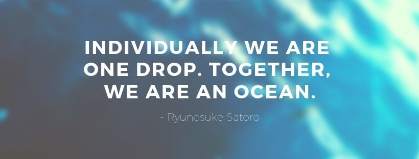 INDIVIDUALLY WE ARE ONE DROP. TOGETHER, WE ARE AN OCEAN.