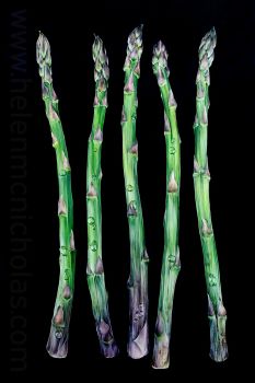 'Asparagus' - Original Painting