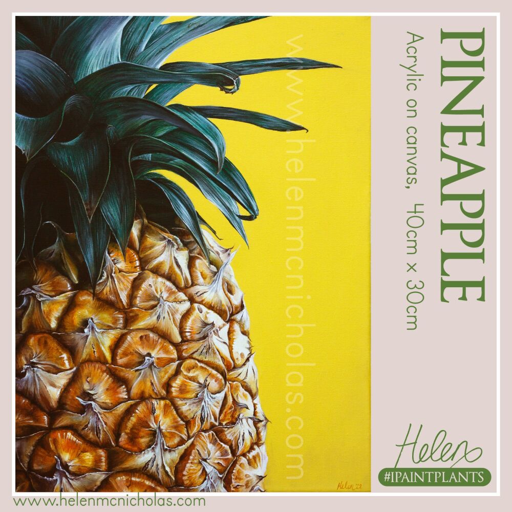'Pineapple' - Original Painting