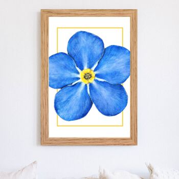 'Forget-Me-Not' - Art Print