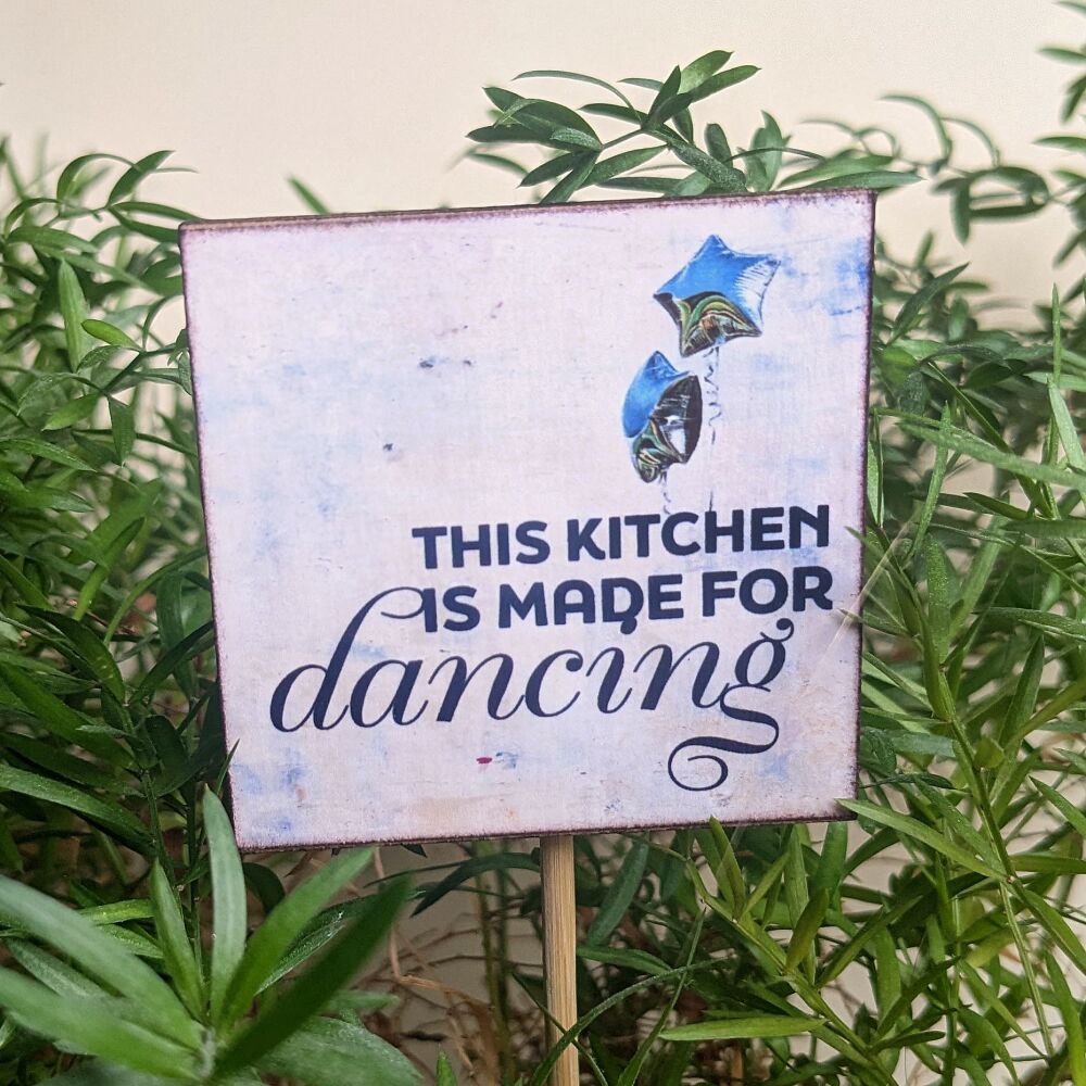 KITCHEN MADE FOR DANCIING HOUSEPLANT STAKE