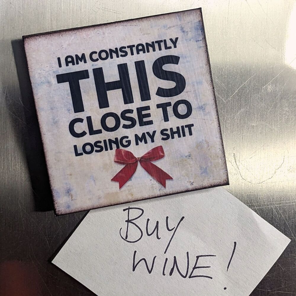 CONSTANTLY THIS CLOSE FRIDGE MAGNET