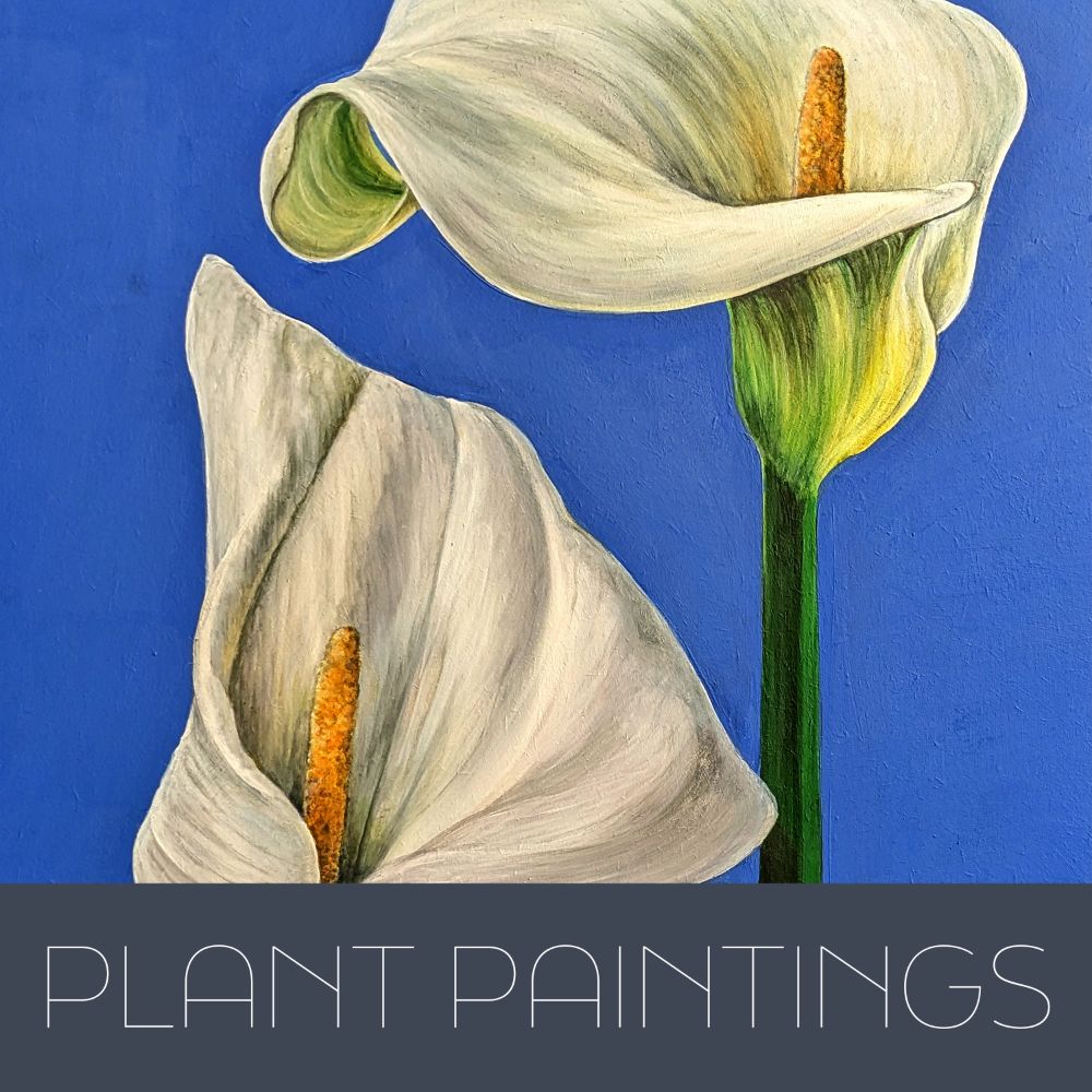 PLANT PAINTINGS